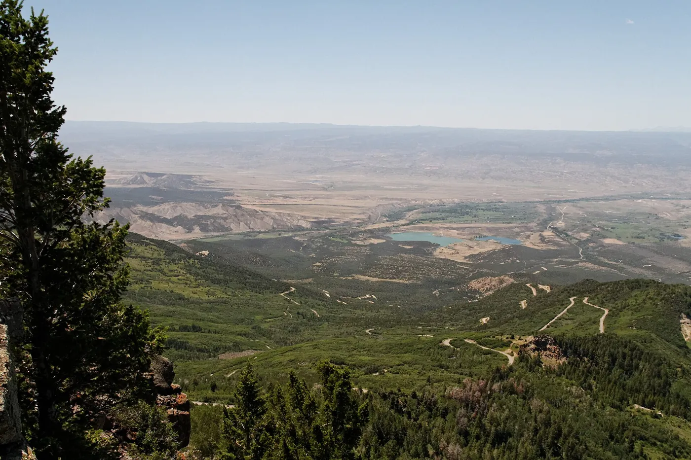 A view from Grand Mesa across forested slopes toward the valley below